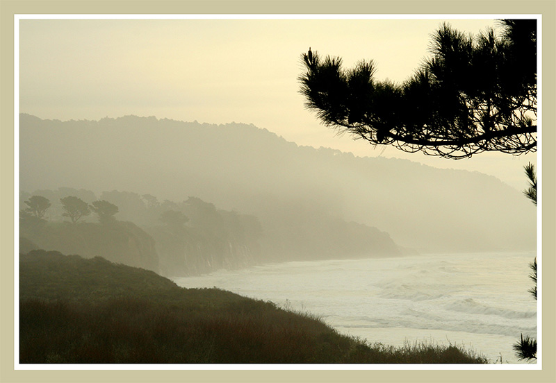 California Coast - Ano Nuevo State Reserve