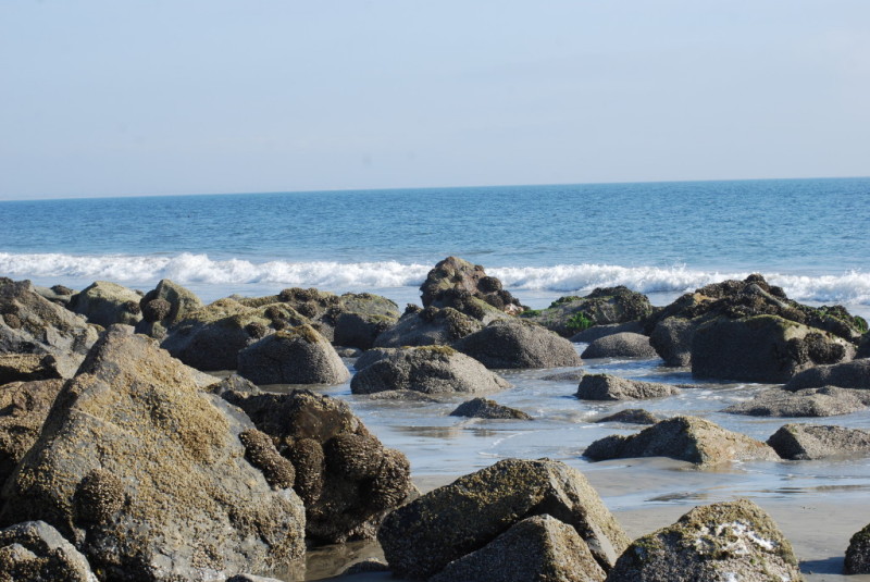 California - Coronado Beach