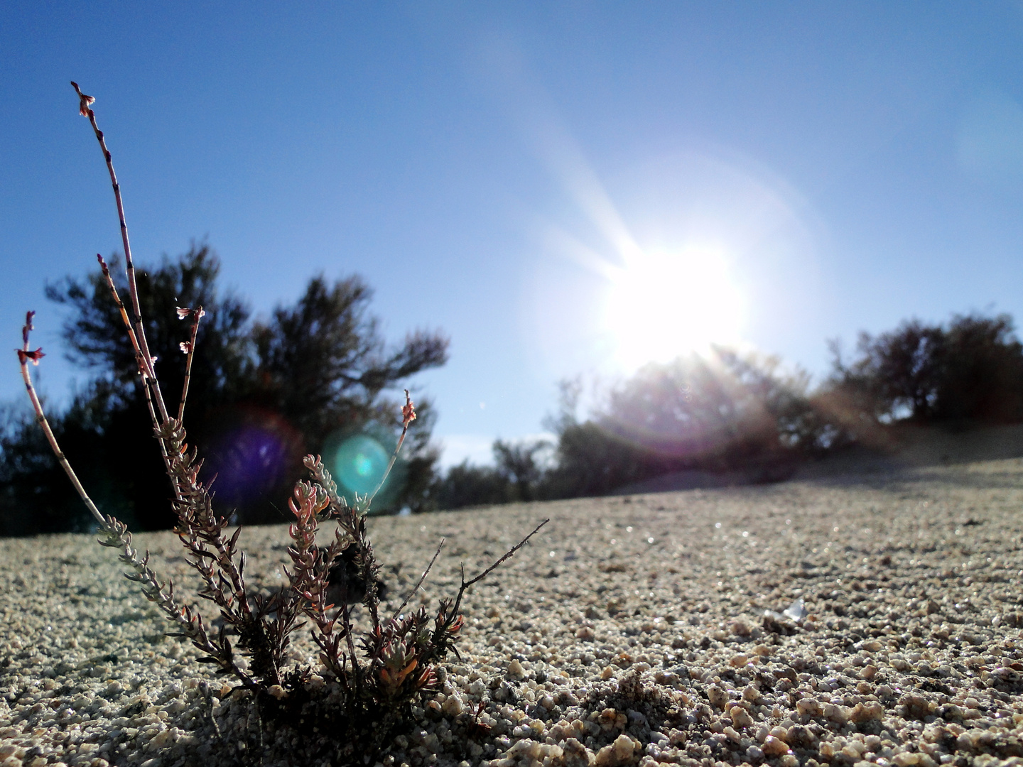 California desert..