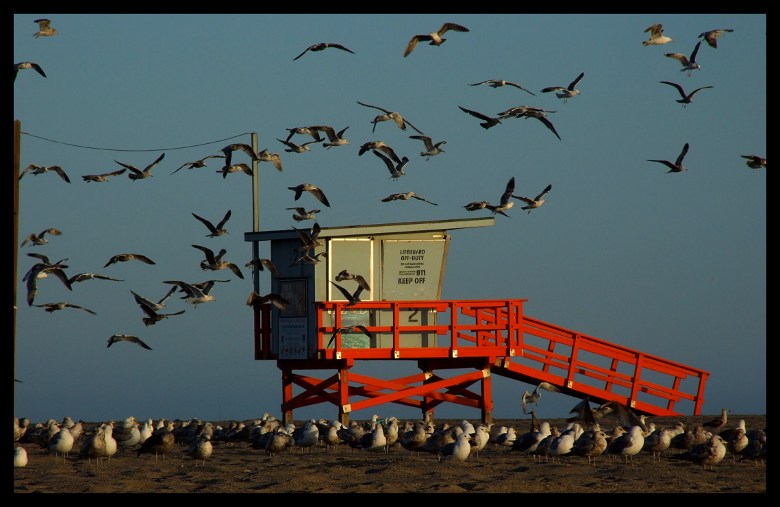 California, Malibu 1