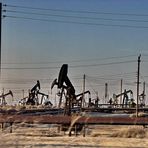 California Oil