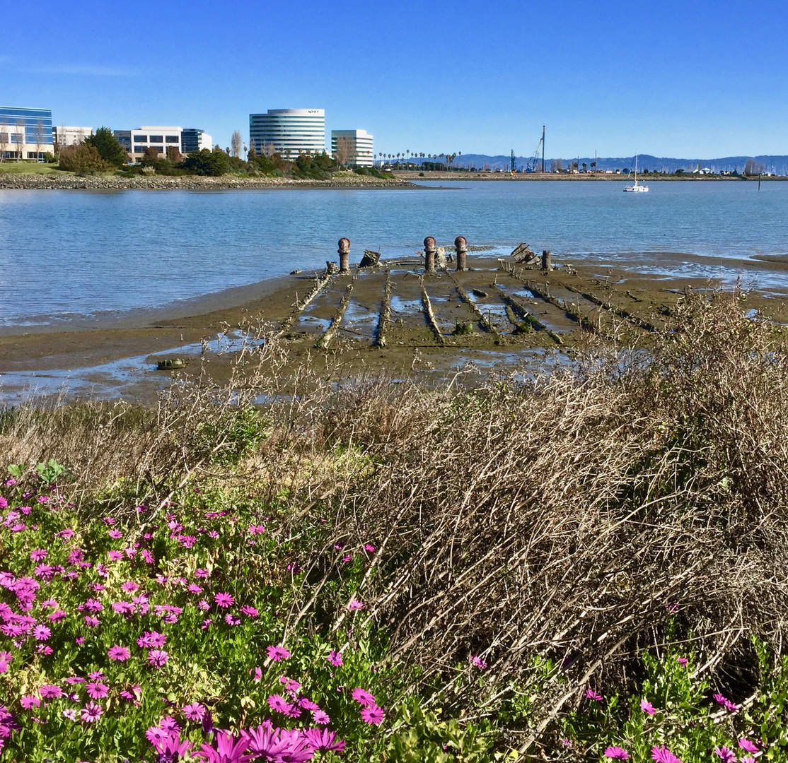 California: Old and new economy