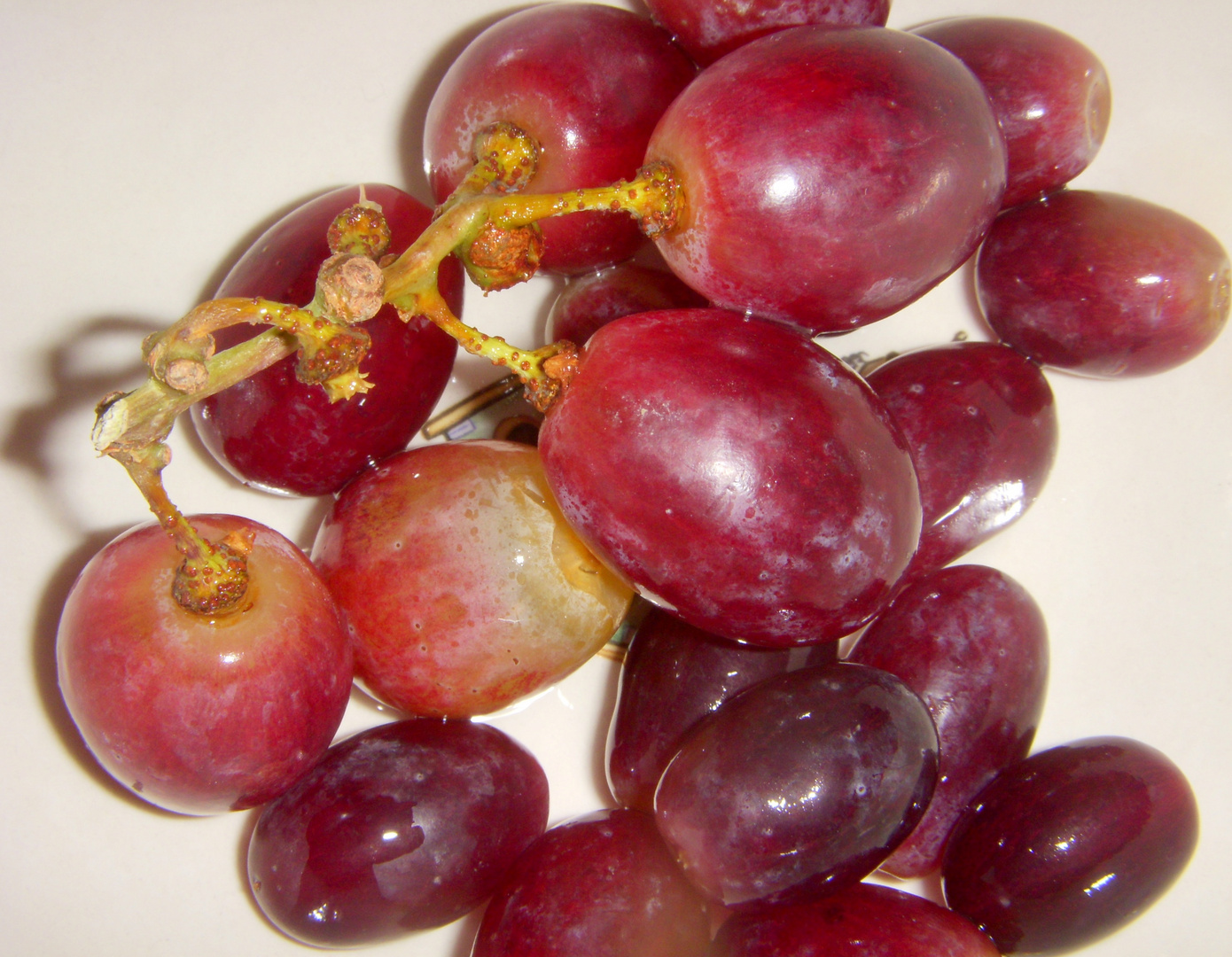 "California Produce: Scarlotta Red Seedless Grapes"