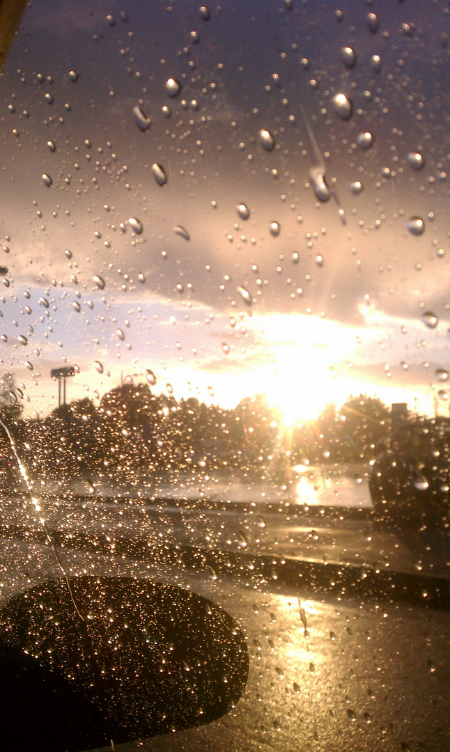 California Rain. You can't stop the sun!