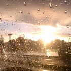 California Rain. You can't stop the sun!