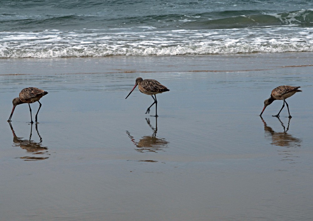 CALIFORNIA-SANTA MONICA