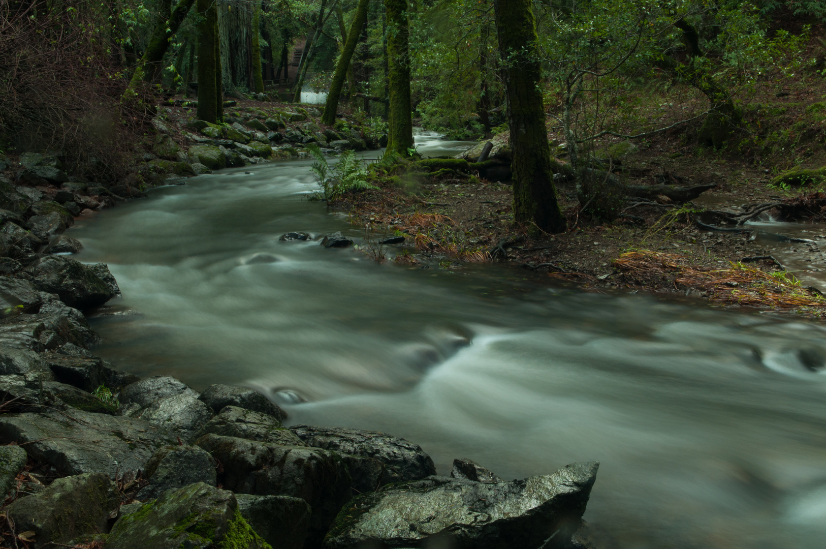 California Stream