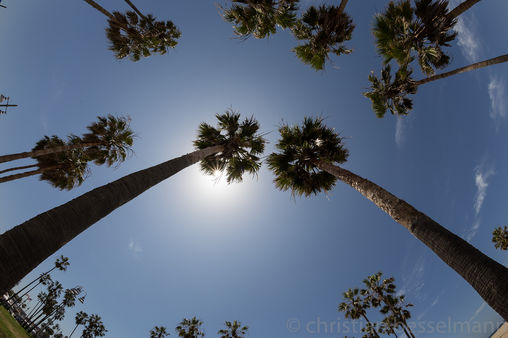 California Street Shot