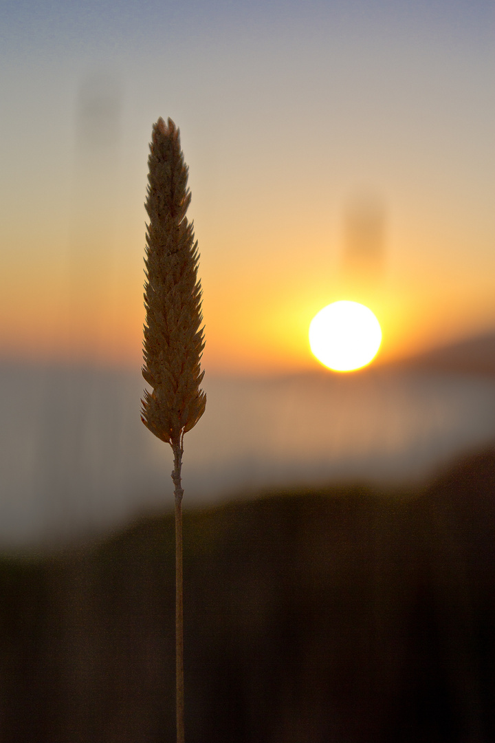 California Sunset, Santa Barbara