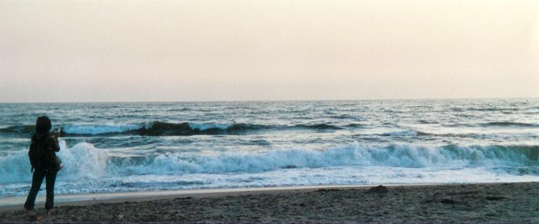 Californian Beach