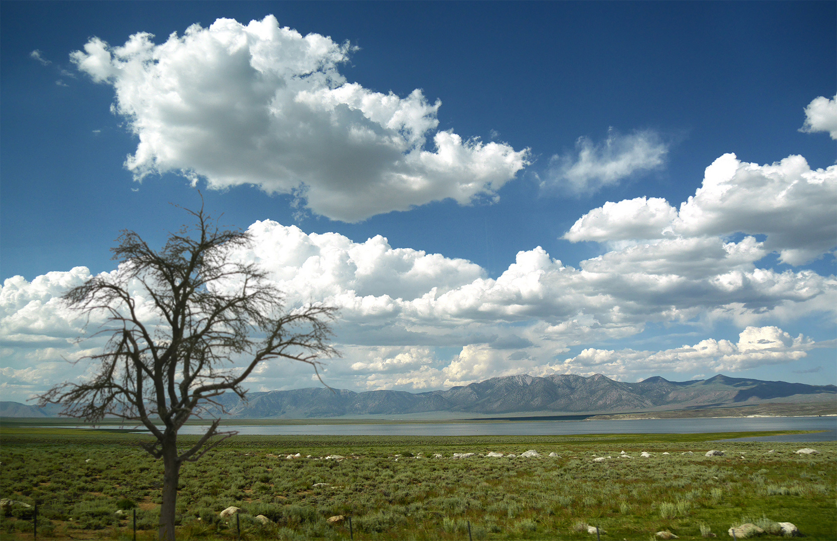 Californian  Clouds 