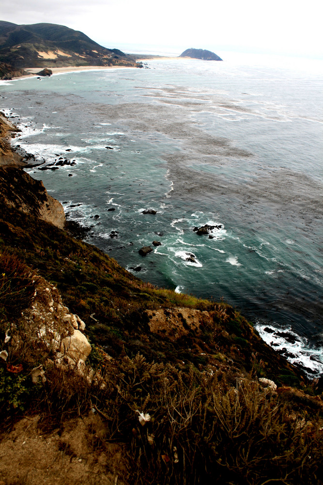 Californian Coast