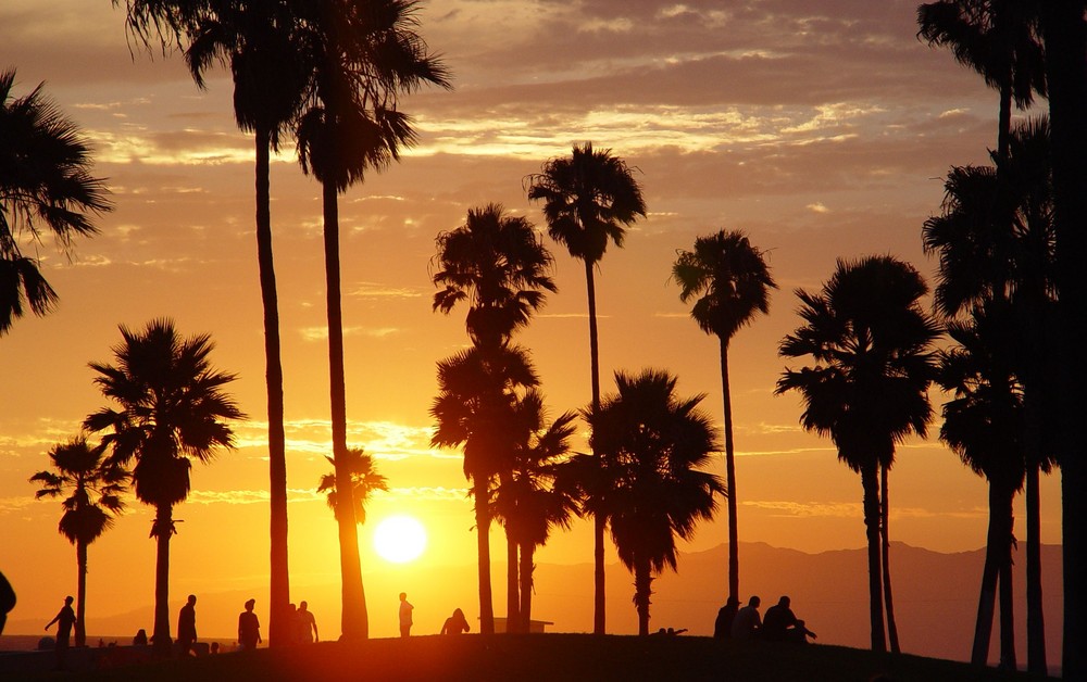 Californien LA Venice Beach (1)