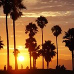 Californien LA Venice Beach (1)