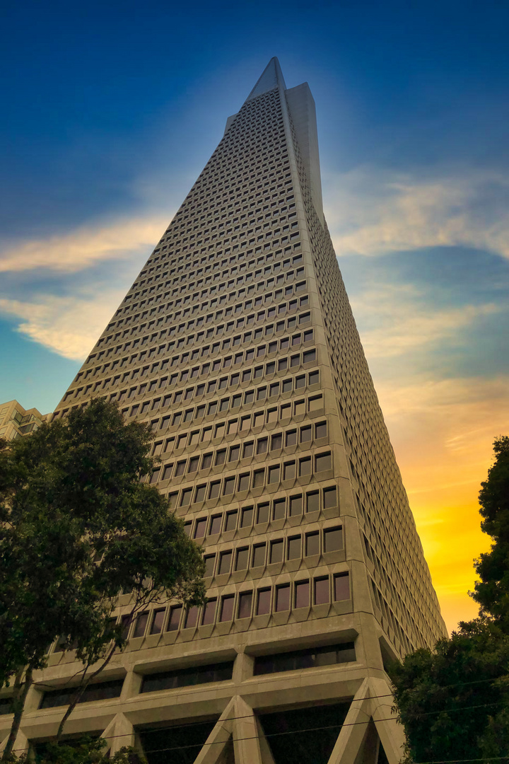 CALIFORNIEN - TRANSAMERICA PYRAMID