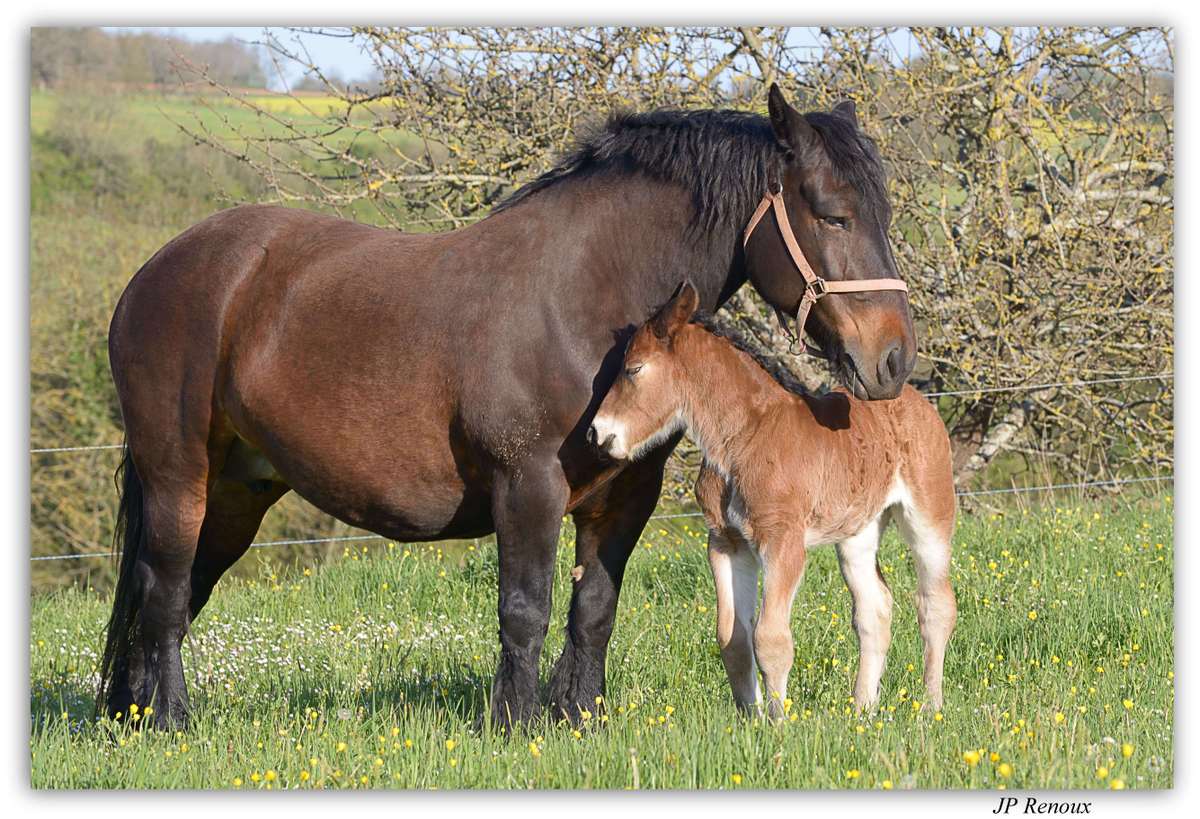 Calin Maman !!!