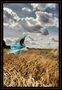 Call of Nature von Mario Holtz