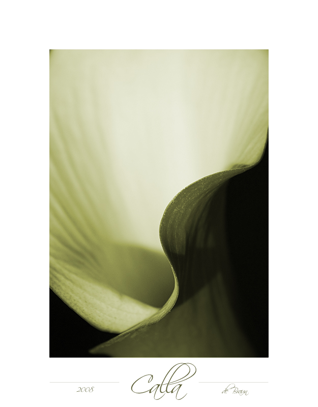 Calla