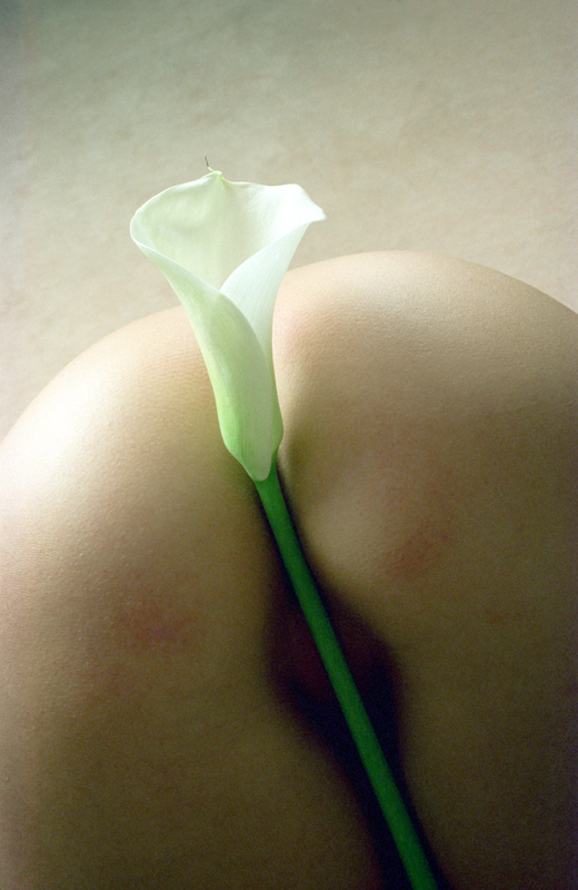 Calla