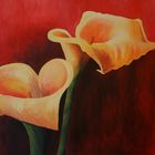 Calla II