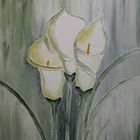 Calla III