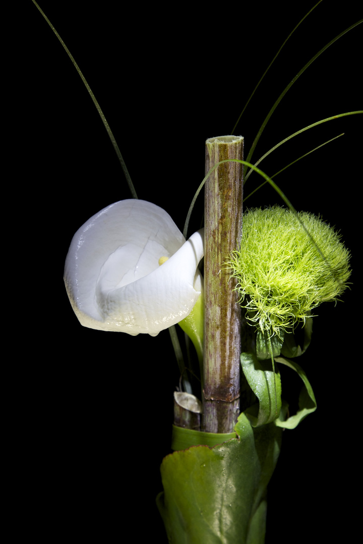 Calla Strauss nach eigener Vorstellung gebunden.