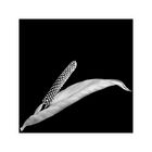 calla - tribute to mapplethorpe