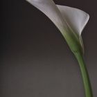 Calla ... was sonst!