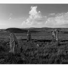 Callanish IV