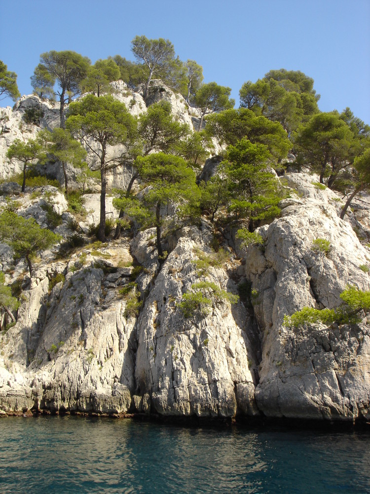 callanque de cassis