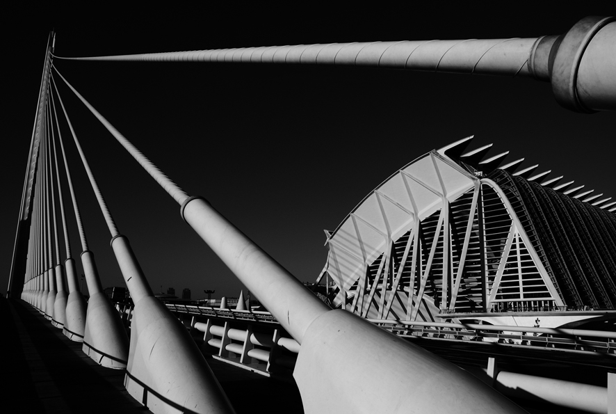 Callatrava Bridge