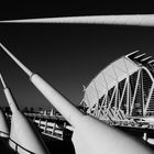 Callatrava Bridge