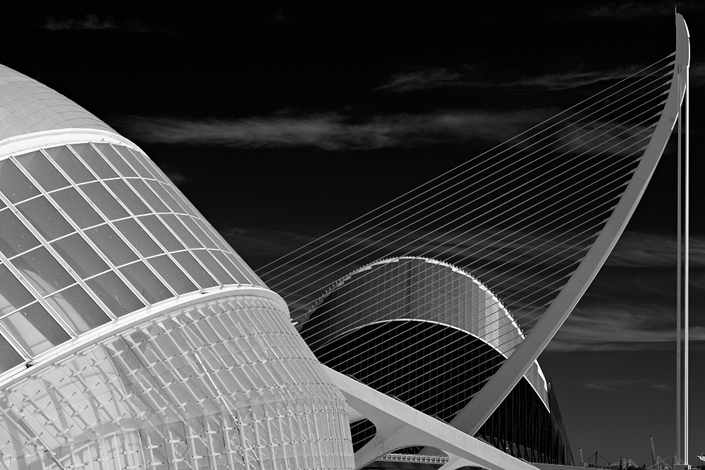 Callatrava satt