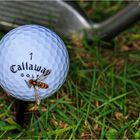 Callaway Golf Biene …