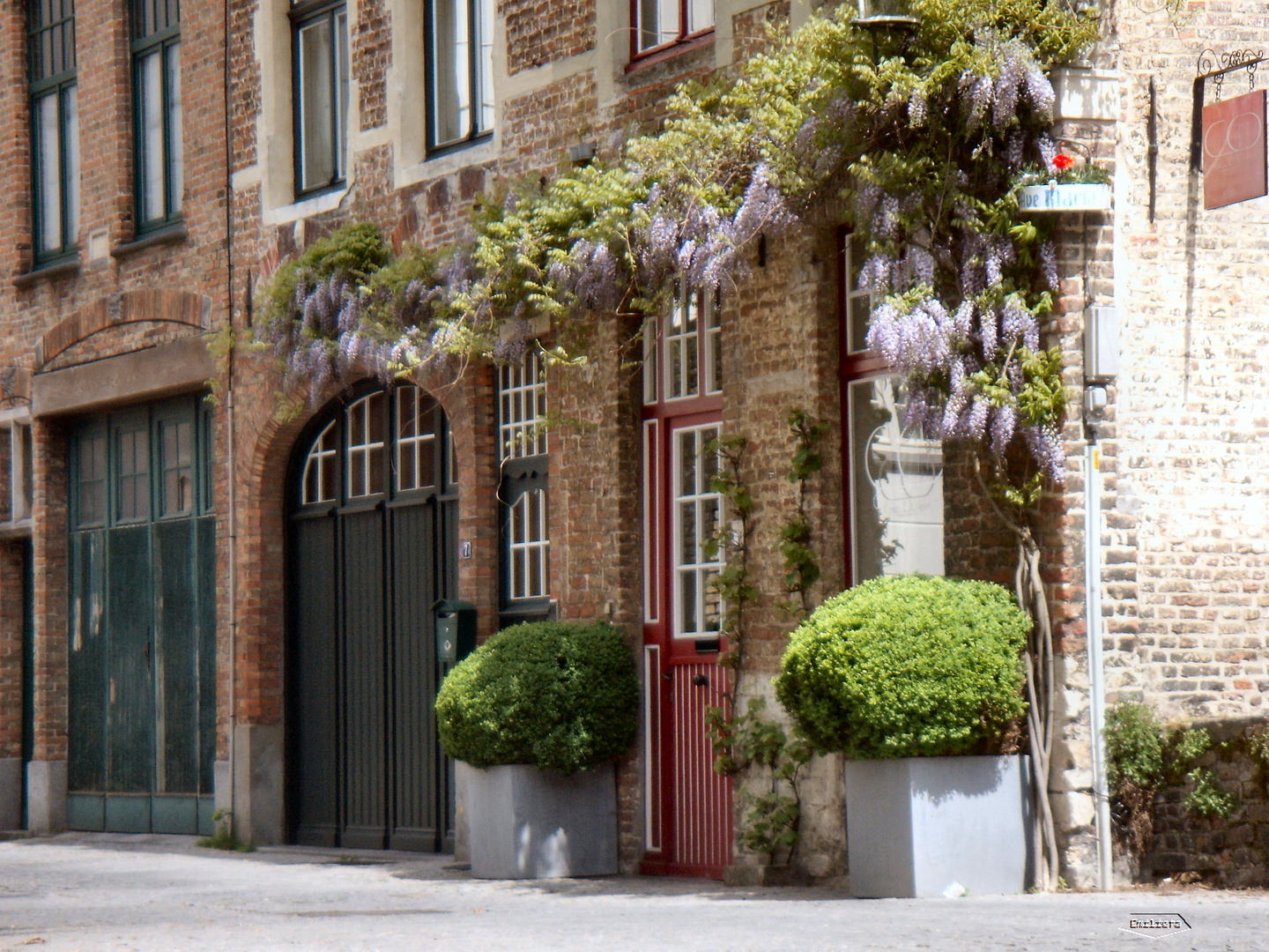 Calle de Brujas