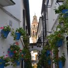 Calle de Córdoba