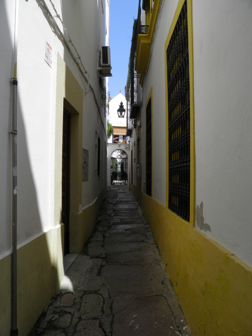 Calle de cordoba