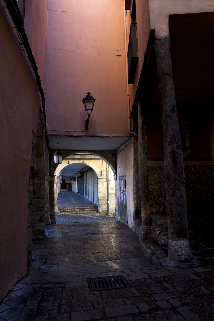 Calle de León