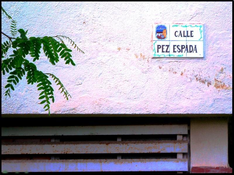 calle del pez --