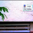 calle del pez --