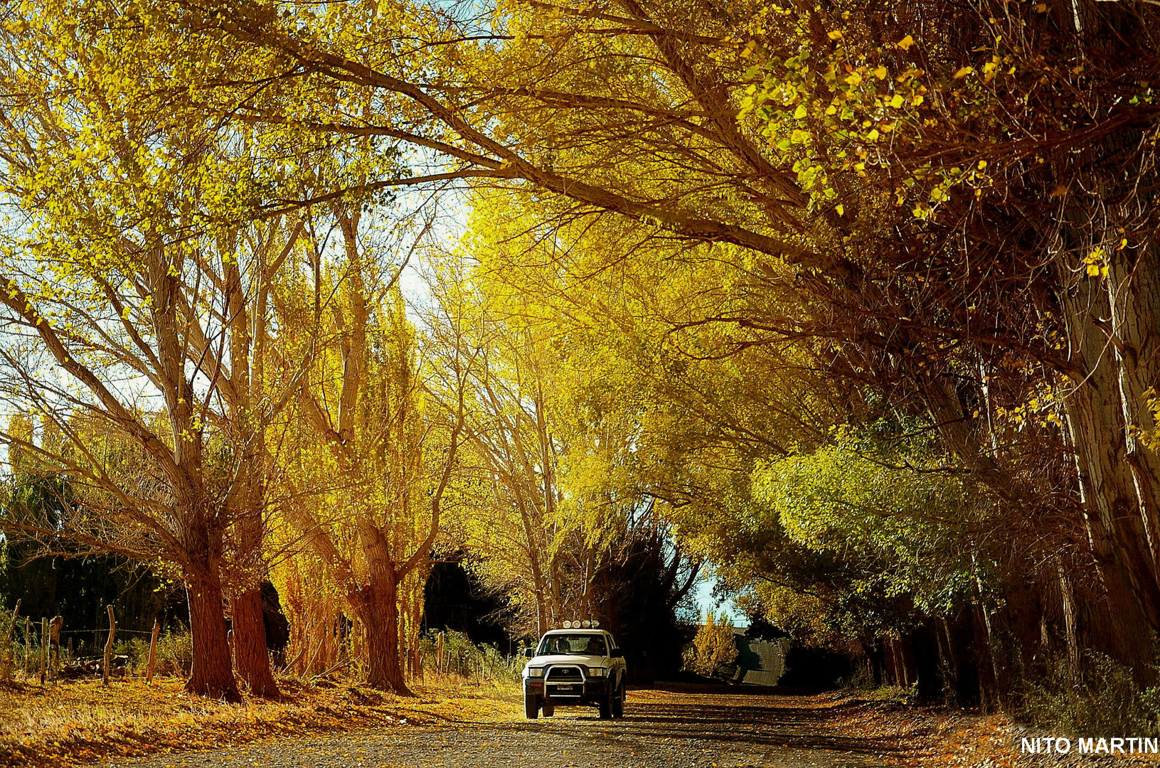 Calle Dorada .