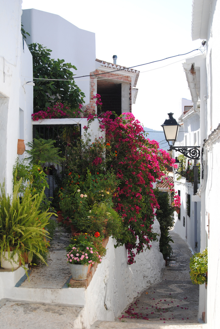 CALLE EN FRIGILIANA