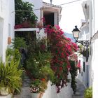 CALLE EN FRIGILIANA