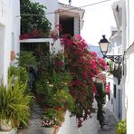 CALLE EN FRIGILIANA