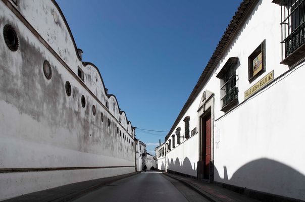 Calle Luis de Eguilaz
