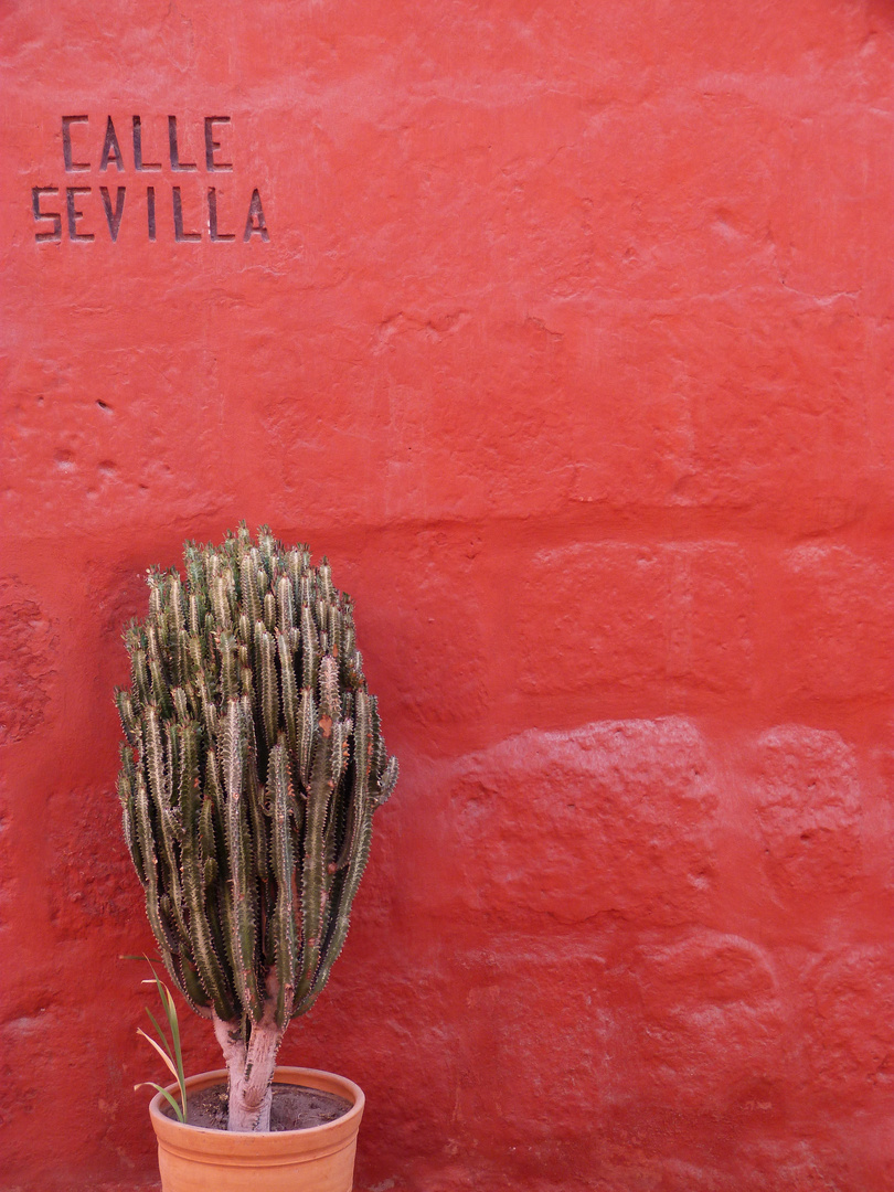 calle sevilla - santa catalina monasterio