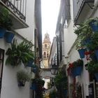 Calle típica de Córdoba con la Torre de la Mezquita al fondo.