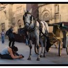 Calle Torrijos.- Córdoba