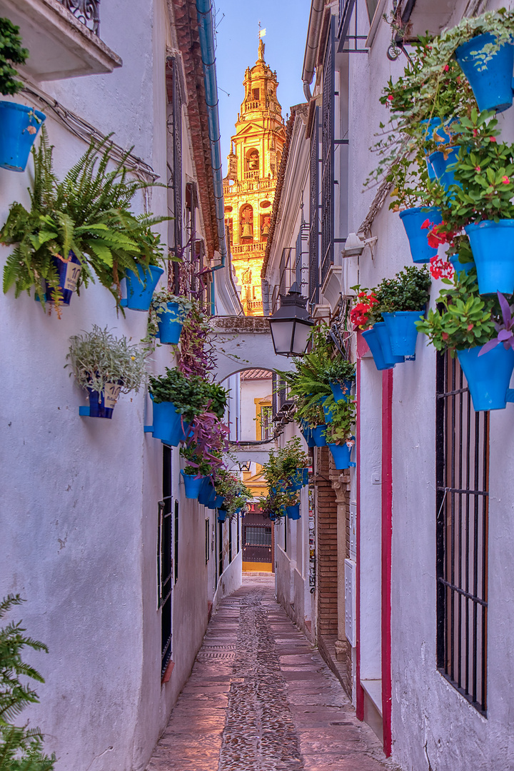 Calleja de las Flores