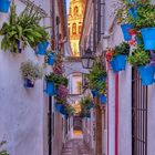 Calleja de las Flores